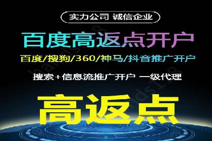 某电商平台的SEM广告投放全流程解析